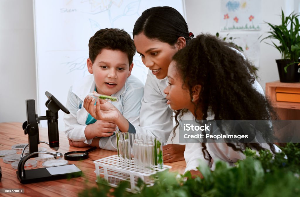 Estudiantes en actividad de ciencias