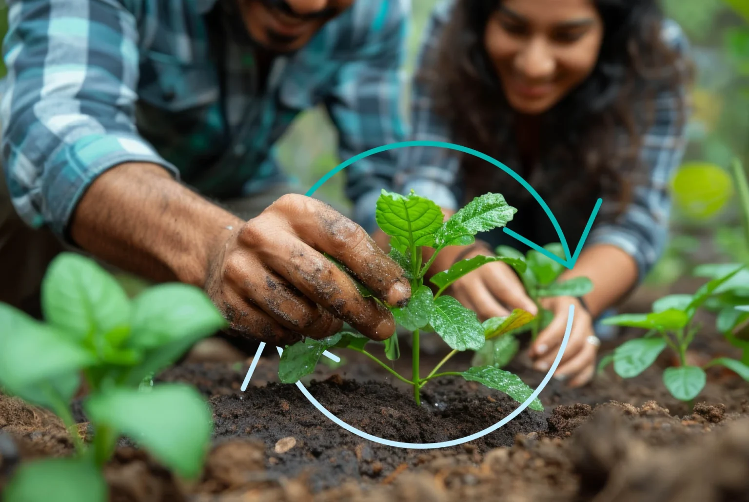 Personas plantando árboles
