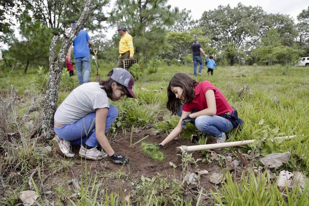 Reforestación en Jalisco